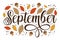September - autumnal greeting with hand drawn leaves and acorns