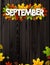 September background with colorful leaves.