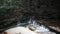 September in Karkonosze, trees and rocks on the bank of a stream