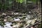 September in the Sudetes, a mountain stream in Karkonosze