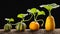 Sequence of pumpkin plant growing isolated, evolution concept