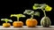 Sequence of pumpkin plant growing isolated, evolution concept