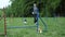 Sequence with slow motion racing in competition, animal agility race with dog running and doing slalom. Sequence with
