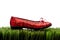 Sequined red slipper on white