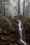 Sequoia waterfall
