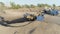 Serbia, Belgrade - July 30, 2021: Excavator fills up earth in dump truck. Scene. Construction site with trucks and