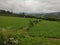 Serbia green slopes and elevation Dragacevo region