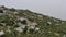 Serbia mountain Rtanj at foggy mountain top ruined chapel