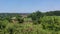 Serbia Smederevo summer landscape seen from the hills