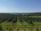 Serbia Velika Plana Podunavlje region spring landscape vineyard