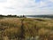 Serbia Vojvodina river Danube landscape near Slankamen village