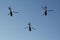 Serbian Air Force Helicopters In Formation