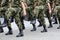 Serbian Army marches