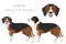 Serbian Tricolor Hound clipart. All coat colors set.  All dog breeds characteristics infographic