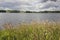 Serdovo lake. Summer. landscape. Belarus