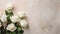 Serenade of Beauty: White Roses on Chalk Background with White Space
