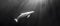 Serenade of Light: Beluga\\\'s Underwater Ballet. Concept Underwater Photography, Marine Life, Ballet