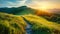 Serenade of Nature: Picturesque Winding Path Through Green Grass Field in Hilly Morning Dawn, Spring and Summer Panorama