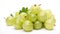 Serenade of Tangy Delights: Isolated Gooseberry on White