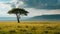 Serene african savanna landscape with a solitary tree. dramatic sky over the grassland. perfect for background and