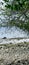 Serene Atoll tropical beach in Maldives Atoll with white sands and coral reef