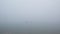 A serene autumn landscape featuring two ducks on a mist-covered lake