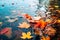 Serene Autumn Scene: Leaves Adrift in Lake.