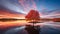 Serene Autumn Wetland With Vibrant Cherry Trees Reflecting On Calm Water