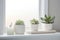 A serene bathroom with a trio of small succulents on the windowsill