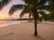 A serene beach at sunset with palm trees