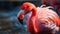 Serene Beauty: Pink Flamingo Animal Portrait