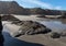 Serene beauty, Pudding Creek beach at low tide