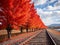 serene beauty of a sunny day with train tracks running alongside a row of trees.