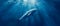 Serene Beluga\\\'s Underwater Ballet in Sunlit Depths. Concept Underwater Photography, Marine Life,