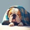 Serene bulldog snoozes beneath a cozy blanket, blissfully at rest