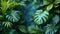 A serene composition of verdant tropical leaves, showcasing nature\\\'s intricate patterns and vibrant life