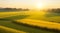 A serene countryside morning, with golden sunlight filtering through lush crops