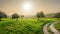 Serene Cyprus landscape with green fields and carob trees