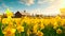 Serene Daffodil Farm A Scenic Beauty of a Flower Farm with a Wooden House AI generated