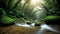 Serene Dawn: Sunlight Filtering Through a Rainforest Creek