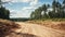 Serene Dirt Road In The Woods: Engineering Construction And Design