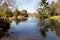 Serene duck pond in spring