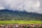 Serene Dusk Amidst Misty Tea Plantations of Kayu Aro, Kerinci