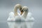 Serene embrace: two swans in love, a graceful display of adoration and unity in the swanst& x27;s affectionate bond, a