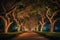 A serene and enchanting scene of a pathway illuminated by soft lights, bordered by majestic trees under the night sky, A night