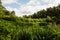 Serene English lake view on a summer day