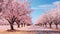 Serene field with vibrant cherry blossom trees