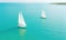 A Serene Fleet of Sailboats Gracefully Gliding on a Vast, Calm Ocean