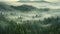 A serene forest filled with an abundance of trees covered in fog, creating an ethereal atmosphere., Misty dark forest aerial
