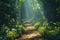 Serene forest pathway with sunlight filtering through thick, green foliage. AI generated.